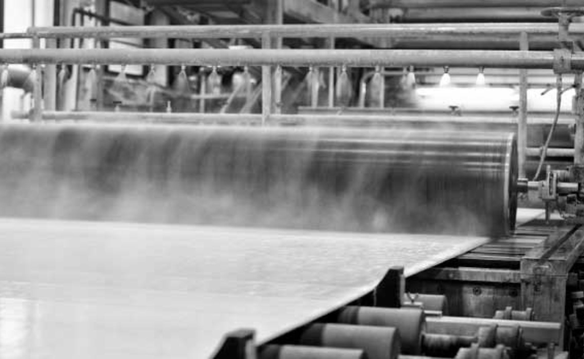 The History of Paper